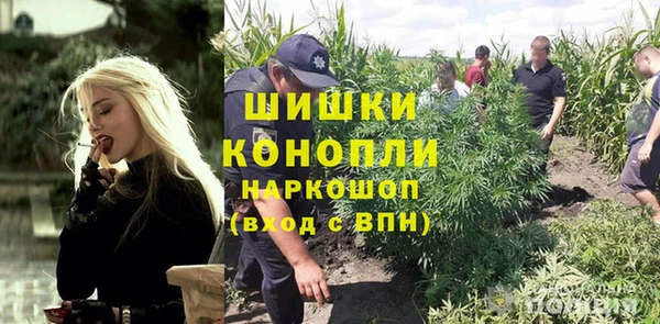 Альфа ПВП Алзамай