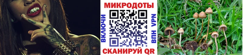 Псилоцибиновые грибы мицелий  Ува 